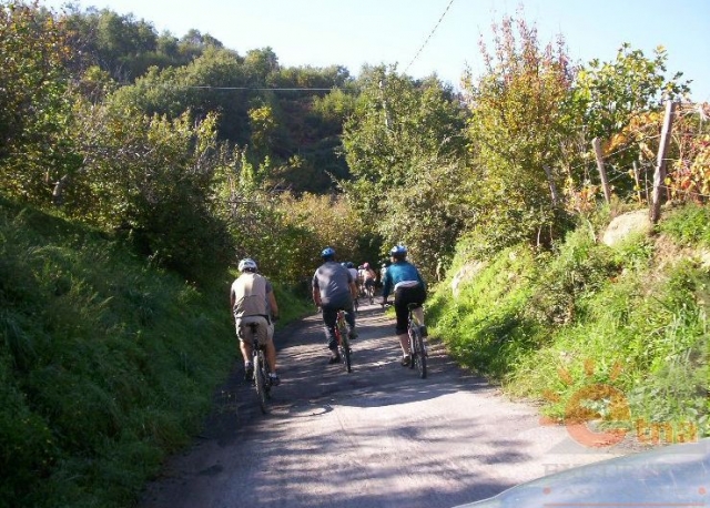  Excursions guidées en VTT 